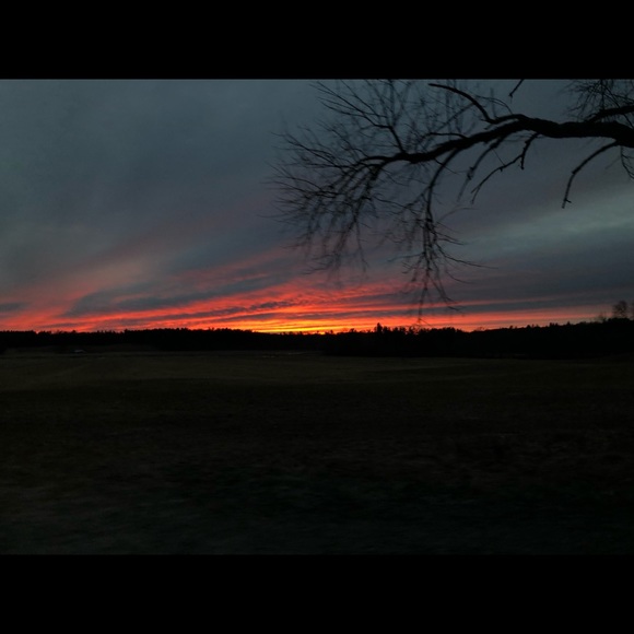 Meet your Posher, Claire - Picture 1 of 1